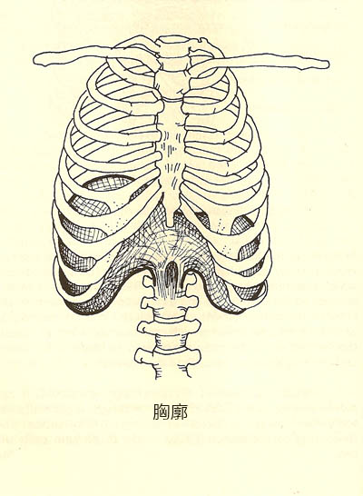 diagram2